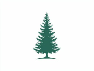 Fototapeta premium Evergreen Tree Silhouette