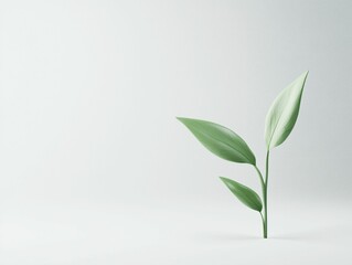 Fototapeta premium Minimalist Green Plant