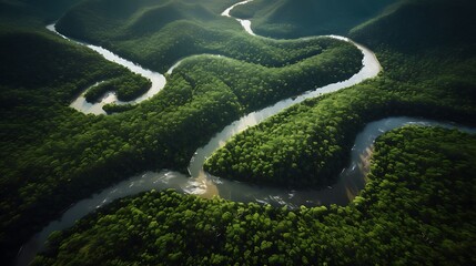 River through green jungle.