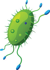 This is a vector cartoon illustration featuring a cute green caterpillar bug, an interesting insect from nature