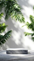 palm tree 