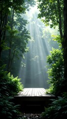 morning in the forest
