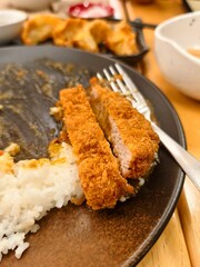 Crispy Fried Chicken Cutlet Served with White Rice on a Plate in a Cozy Restaurant Setting