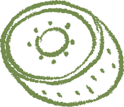recommend clip art: Hand-Drawn Kiwi Slice Sketch