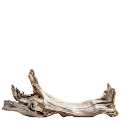 Fototapeta premium Driftwood piece, weathered and smooth