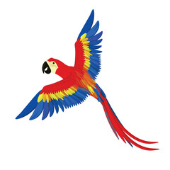 Colorful flying parrot isolated on white background. Vector red Arara, Vector red Macaw, Vector red Ara. Macaw on white background.