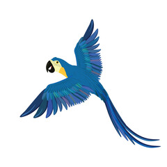 Colorful flying parrot isolated on white background. Vector blue Arara, Vector blue Macaw, Vector blueAra. Macaw on white background.