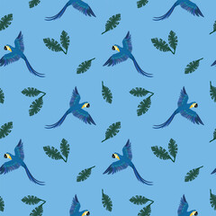Vector seamless parrots pattern. Colorful flying parrot on blue background. Vector blue Arara pattern, Vector blue Macaw pattern, Vector blue Ara. Macaws on blue background seamless.