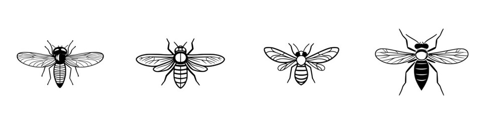 Vector illustration of four distinct bee types showcasing their unique features and characteristics for educational use