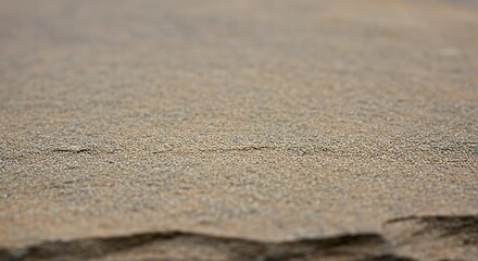 Sandstone Texture Close Up