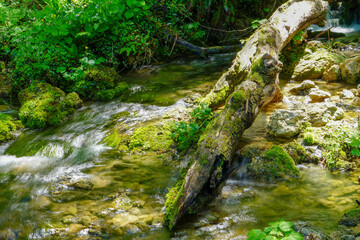 Mountain waterfall among moss-covered rocks.
