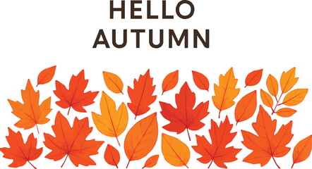 Create a Autumn seasonal background with long horizontal border made of falling autumn golden, red and orange colored leaves isolated on background. Hello autumn vector illustration vector art with wh