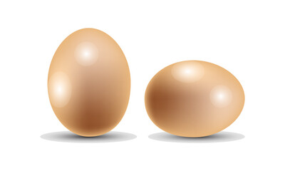 egg illustration