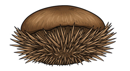 Chestnut with spiky shell isolated PNG with Transparent Background