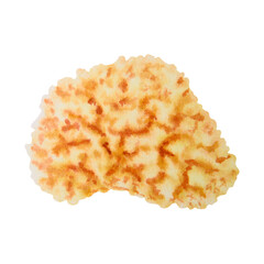 Watercolor illustration of a yellow-orange coral resembling brain coral or sponge coral. Sea-inspired element for tropical designs, kids themes, summer cards, and underwater scenes.