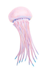 Watercolor illustration of a jellyfish with long tentacles, perfect for summer travel, diving adventures, marine-themed designs, tropical destinations, and underwater exploration concepts.