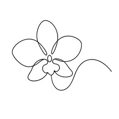 Single line drawing of an orchid flower for minimalist floral art