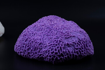 purple sponge on black