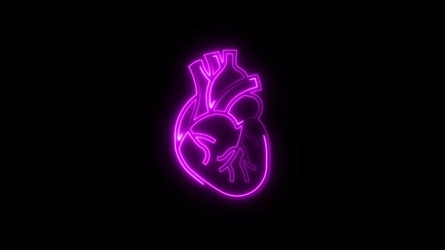 Glowing neon line A human Digestion Stomach Royalty- the liver icon animation. Glowing neon color Liver icon isolated on black background.4k video