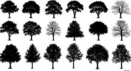 Nocturne of Silhouettes