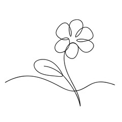 Minimalist Daisy Flower Drawing in Black and White Simple Line Art