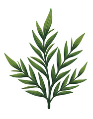 Fototapeta premium Green rosemary herb leaves with fresh natural texture and healthy growth,cut out