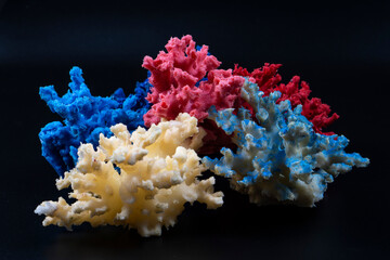 coral reef with red coral