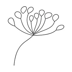 Minimalistic black and white line drawing of a dill flower with stem
