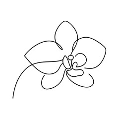 Single line drawing of an elegant orchid flower on white background