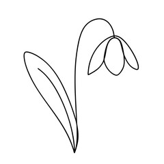 Obraz premium Simple line drawing of a snowdrop flower, minimalist and elegant design