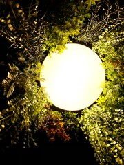 beautiful and serene glowing circle lamp surrounded by tropical plants