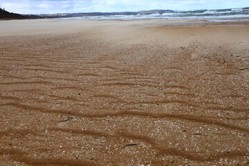 stormy, windy weather on the beach by the sea lifts sand particles creating an unusual mist made of wind-blown sand and in the background the rough sea
