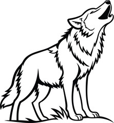 wolf isolated on white background