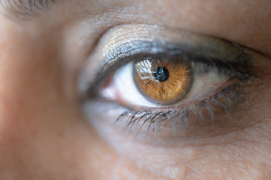 Brown woman eye macro shot. Macro shot of a woman's eyes. Close-up view of an adult asian woman's eye with eyelashes and eyebrow looking in front confidently.
