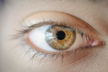 Brown woman eye macro shot. Macro shot of a woman's eyes. Close-up view of an adult asian woman's eye with eyelashes and eyebrow looking in front confidently.