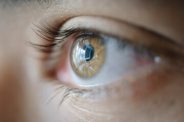 Brown woman eye macro shot. Macro shot of a woman's eyes. Close-up view of an adult asian woman's eye with eyelashes and eyebrow looking in front confidently.