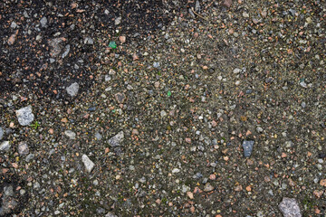 pebbles on the beach