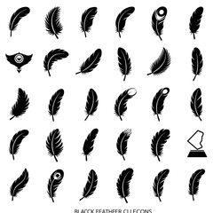 Fototapeta premium Ink Feather Anthology