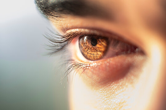 Brown man eye macro shot. Macro shot of a man's eyes. Close-up view of an adult asian man's eye with eyelashes and eyebrow looking in front confidently.