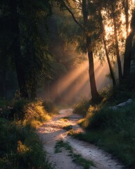 Fototapeta premium Forest Path at Sunrise with Sunbeams Shining Through Trees Low Angle View Serene Nature Scene