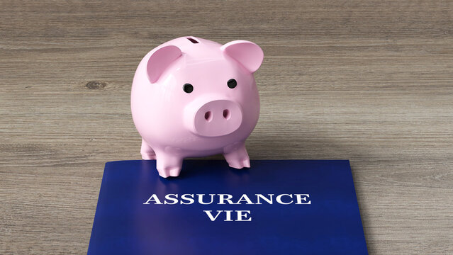 un dossier avec le texte ASSURANCE VIE et une tirelire cochon pos&eacute;e dessus - rendu 3D
