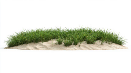 a grass lawn on a sandy beach area. Isolated on pure white.