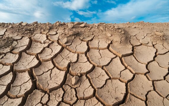 A dry and cracked soil 
