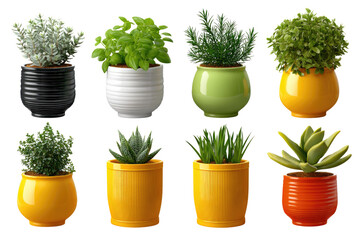 Fototapeta premium Vibrant Potted Plants Collection: A captivating composition of eight diverse potted plants in a delightful array of colors, each exuding freshness and natural beauty.