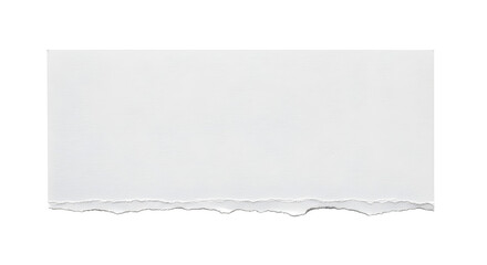 Obraz premium Abstract White Paper With Torn Edge Texture Neutral Lighting Minimalist Design