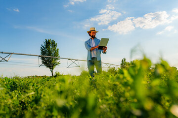 Modern agriculture practices are being implemented by a farmer using a tablet in a pea field, with an irrigation system in the background ensuring efficient water management