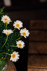 Obraz premium Beautiful white daisies arranged in a glass vase on a rustic wooden table indoors