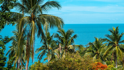 Coconut trees and sea from the island on a summer vacation day.