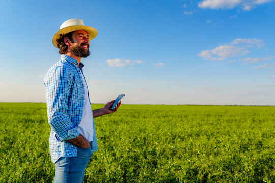 Happy farmer using a mobile phone in a lush pea field, enjoying a sunny summer day while checking the quality of crops and embracing the beauty of rural life