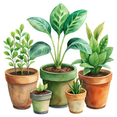 Obraz premium plant in a pot
